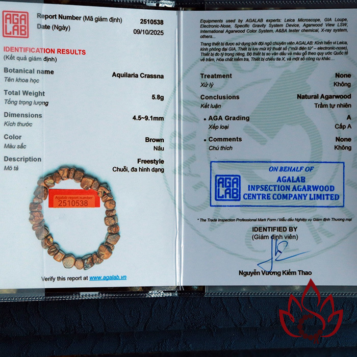 Vòng Trầm Hương Hạt Thô | Trầm Bì Rễ Tự Nhiên